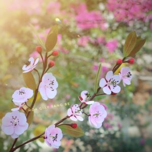 nguyên liệu làm hoa đào