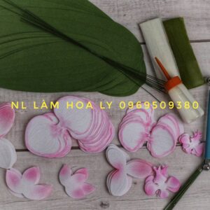 nguyên liệu làm hoa giấy